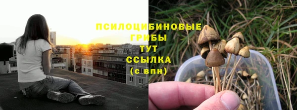 трава Арсеньев