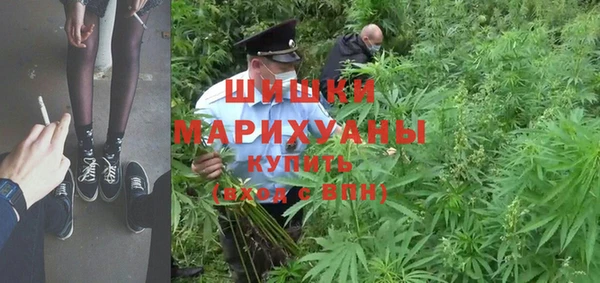 трава Арсеньев